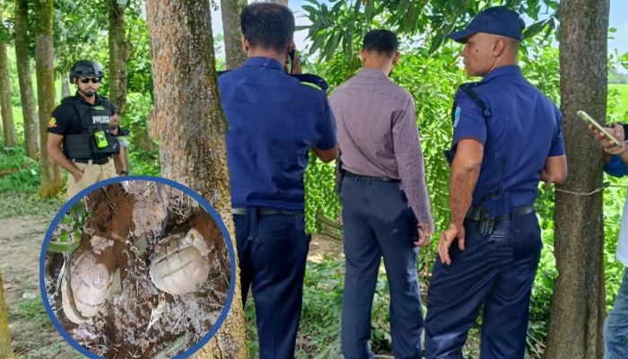 ফুলগাজীতে উদ্ধার করা গ্রেনেড দুটি ধ্বংস