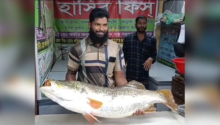 ২২ কেজির কোরাল বিক্রি হলো ৩৪ হাজার টাকায়