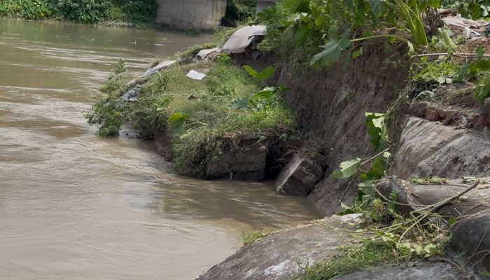 মধুমতী নদীর বাঁধে দেখা দিয়েছে তীব্র ভাঙন