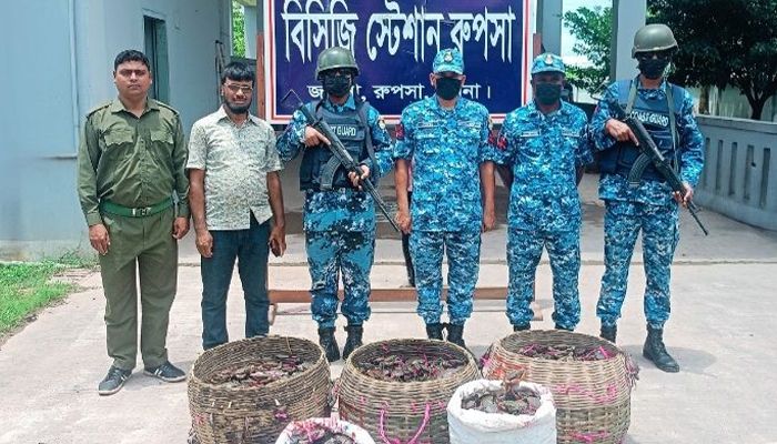 কোস্ট গার্ডের অভিযানে ২৫০ কেজি কাঁকড়া জব্দ 