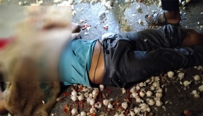 কালকিনিতে ঢাকা-বরিশাল মহাসড়কে দুর্ঘটনায় নসিমন চালক নিহত