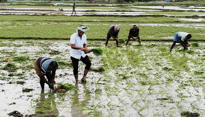 পাইকগাছায় আদালতের রায়ে ২০ বছর পর সম্পত্তি পুনরুদ্ধার