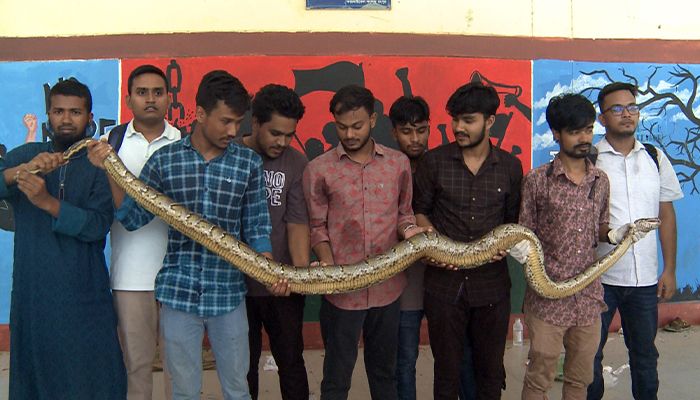  কারমাইকেল কলেজে সচেতনতা বাড়াতে অজগর সাপ প্রদর্শন