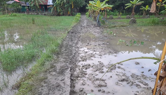 শত বছরের রাস্তা কেটে দিলেন এএসআই