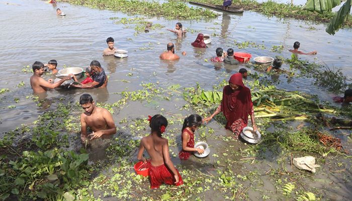 উৎসব করে মাছ ধরল এলাকাবাসী