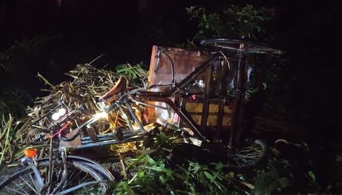 কাশিয়ানীতে গাড়ির ধাক্কায় যুবক নিহত, আহত ২