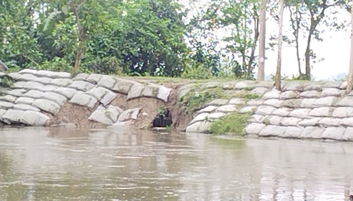 বগুড়ায় করতোয়া নদীর চাপে ধসে পড়ছে সড়ক