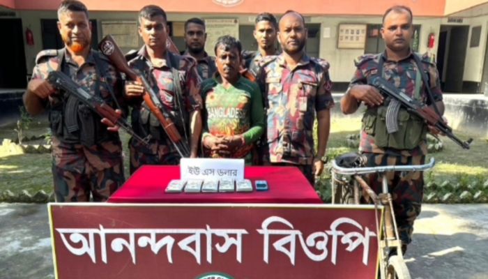 মেহেরপুরে ৫১ হাজার ডলারসহ চোরাকারবারি আটক