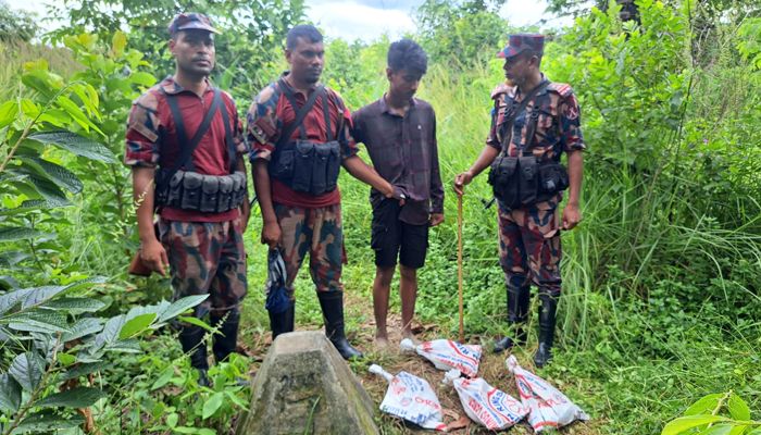 ভারতে পাচারকালে ইলিশসহ চোরাকারবারী আটক