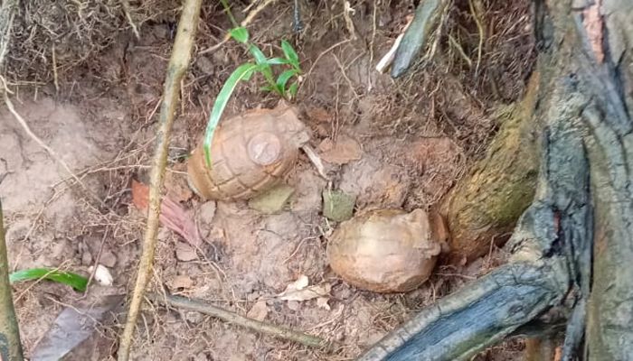 পুকুর পাড়ে মিলল অবিস্ফোরিত দুটি গ্রেনেড