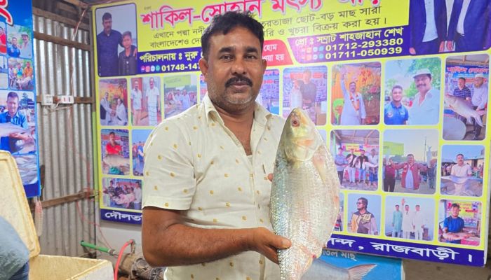 পদ্মায় ধরা পড়ল আড়াই কেজির ইলিশ, ১৪ হাজারে বিক্রি