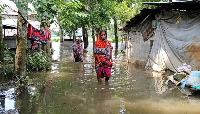 দখল-দূষণে বিলীন কালীগঞ্জের ওয়াপদা খাল