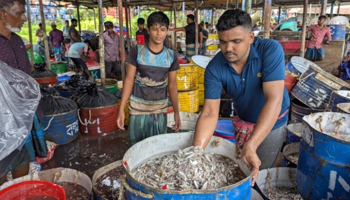 কর্মচাঞ্চল্য ফিরেছে ফিশারি ঘাটে