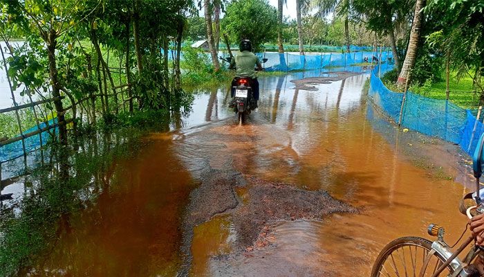 অতিবৃষ্টির কারণে বাড়ছে খুলনার বিল ডাকাতিয়ার পানি