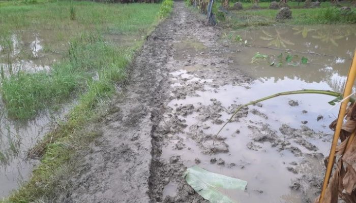 রাস্তা কেটে ফেললেন এএসআই 