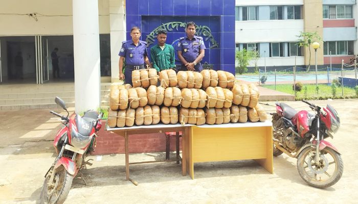 ১৭০ কেজি গাঁজাসহ মাদক কারবারি গ্রেপ্তার