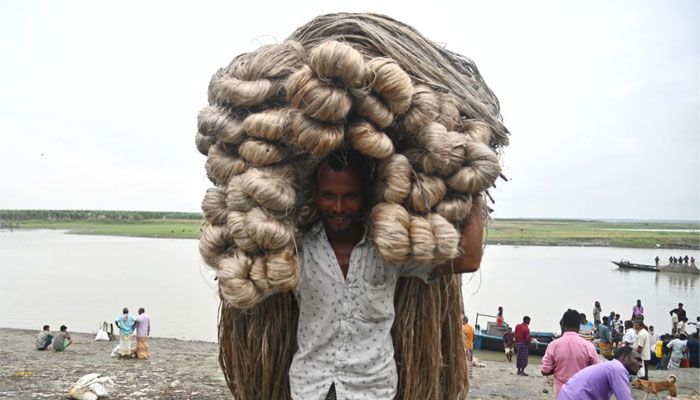 জামালপুরের বাজারে নতুন পাট