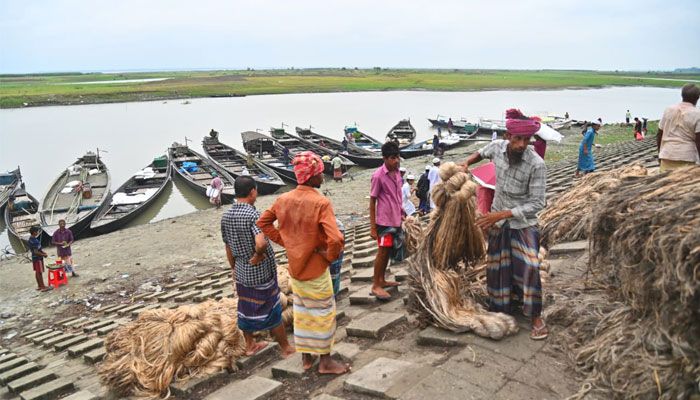 জামালপুরের বাজারে নতুন পাট