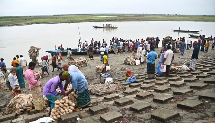 জামালপুরের বাজারে নতুন পাট