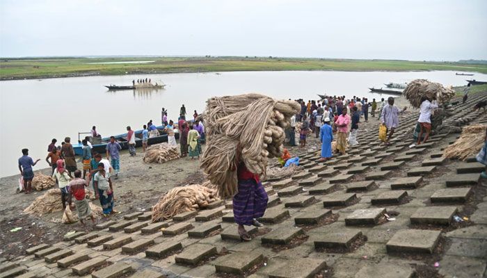 জামালপুরের বাজারে নতুন পাট