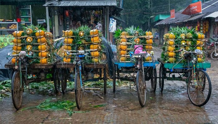 আনারসের রাজধানী