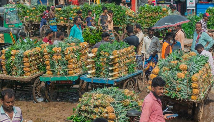 আনারসের রাজধানী