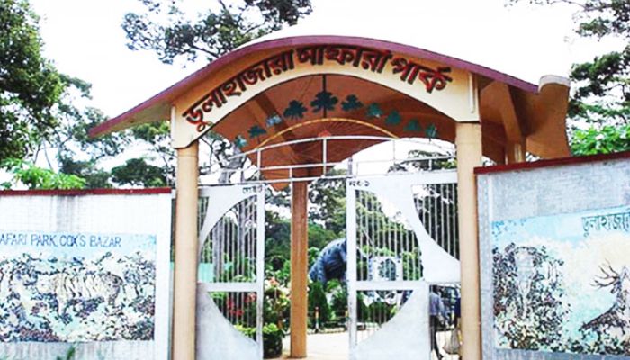 আফ্রিকা থেকে আনা ৩ বাঘকে বাসি মাংস দেওয়ার অভিযোগ