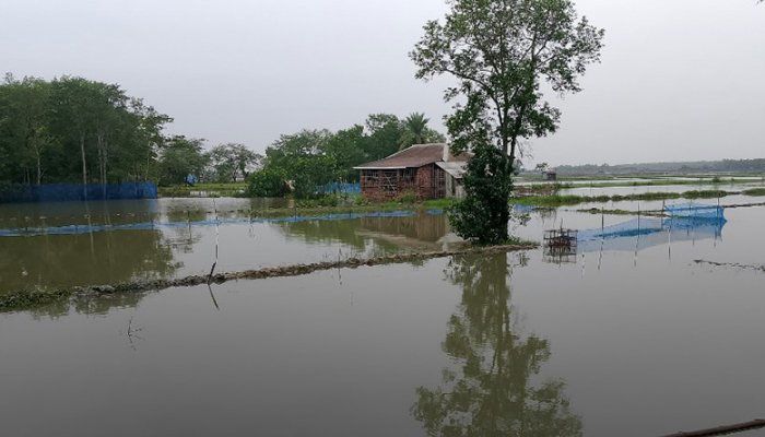 ছবি : সংগৃহীত