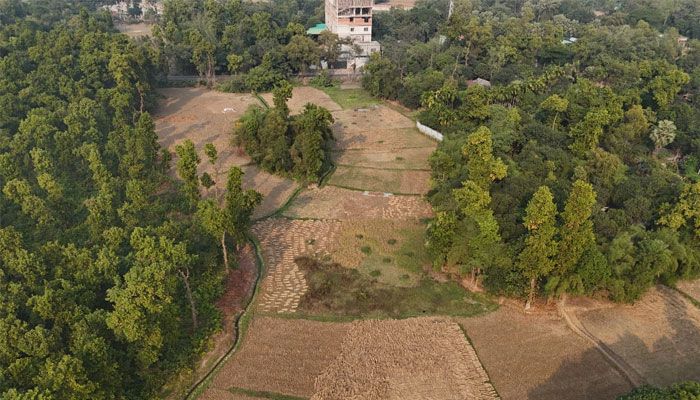 শাল-গজারির অরণ্যে প্রকৃতির অপার লীলাভূমি