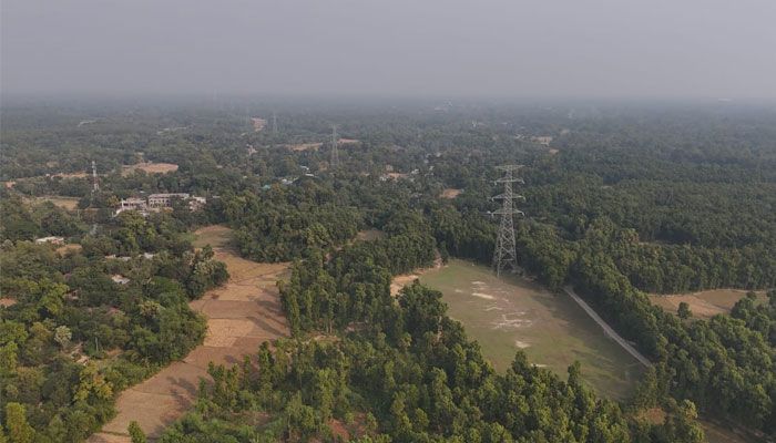 শাল-গজারির অরণ্যে প্রকৃতির অপার লীলাভূমি