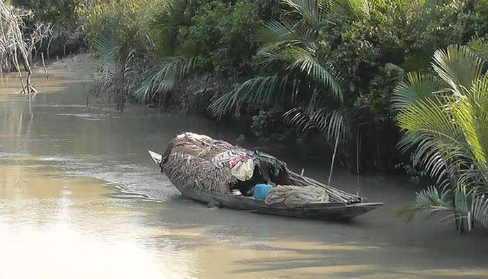 সুন্দরবন থেকে অবৈধভাবে কাঁকড়া শিকার করা নৌকায় চাঁদাবাজি