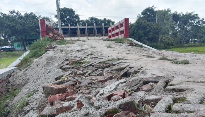 টিআর প্রকল্পের কাজ না করেই বিল উত্তোলনের অভিযোগ