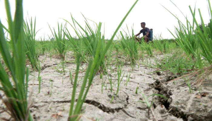দেশের ৩ জেলায় ‘পানি সংকটাপন্ন এলাকা’ ঘোষণা
