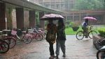 বৃষ্টির মধ্যেই চলছে জাকসুর ভোট
