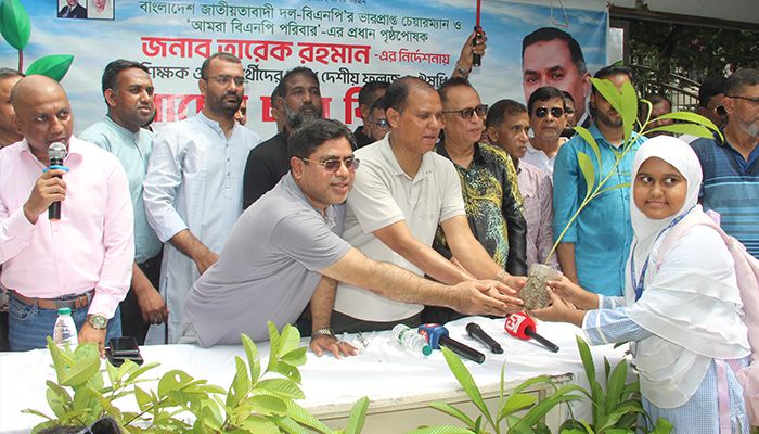 তারেক রহমানের পক্ষ থেকে গাছের চারা বিতরণ 