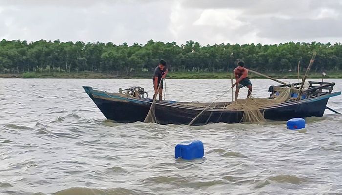 ইলিশশূন্য বিষখালী: হারিয়ে যাচ্ছে বরগুনার ঐতিহ্য