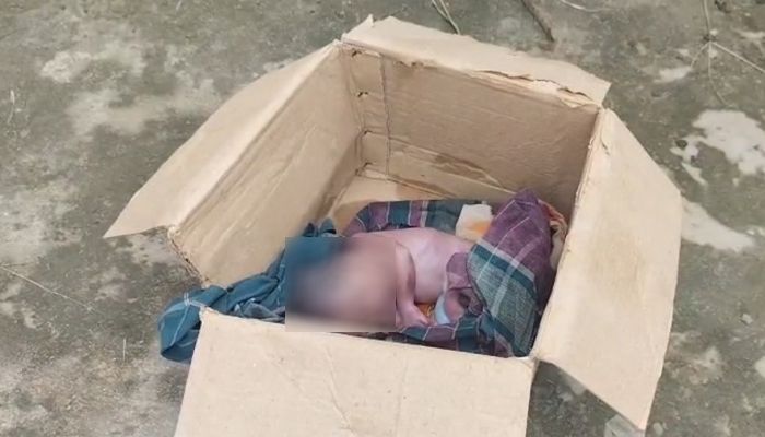 চাঁদপুরে কবরস্থ করার সময় নড়েচড়ে উঠল অজ্ঞাত নবজাতক