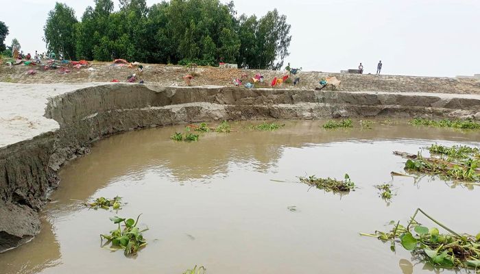 টি-বাঁধ এখন ব্রহ্মপুত্রের ভাঙন হুমকিতে 