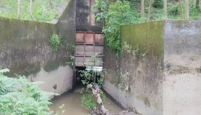  পরশুরামে ১০ গ্রামের ‘গলার কাঁটা’ অকেজা স্লুইসগেট