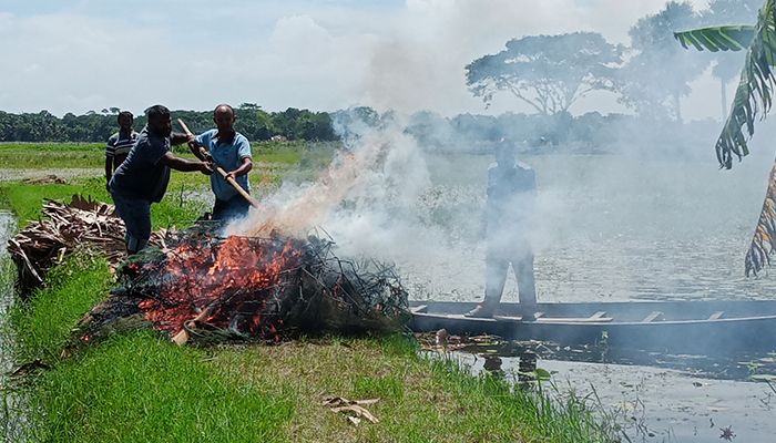 মোল্লাহাটে নিষিদ্ধ চায়না দুয়ারী জাল বিরোধী অভিযান