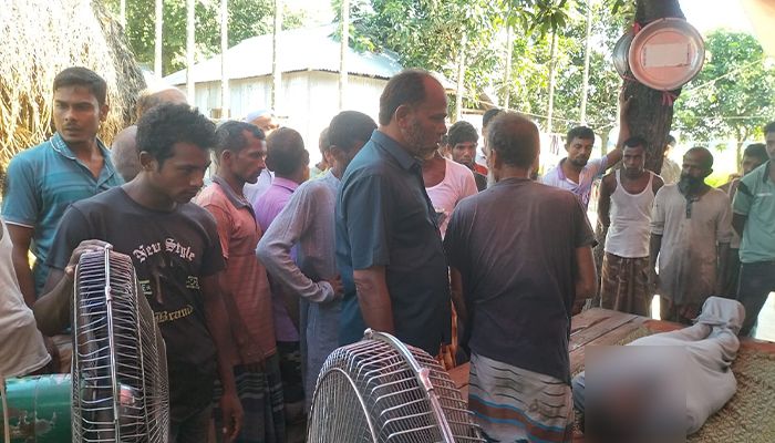 বিদ্যুৎস্পৃষ্টে দুই ভাইয়ের মৃত্যু