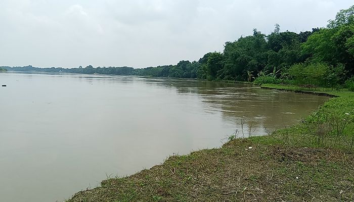 গড়াই নদীর ভাঙনে বিলীন ফসলি জমি, হুমকির মুখে বেড়িবাঁধ ও বসতভিটা