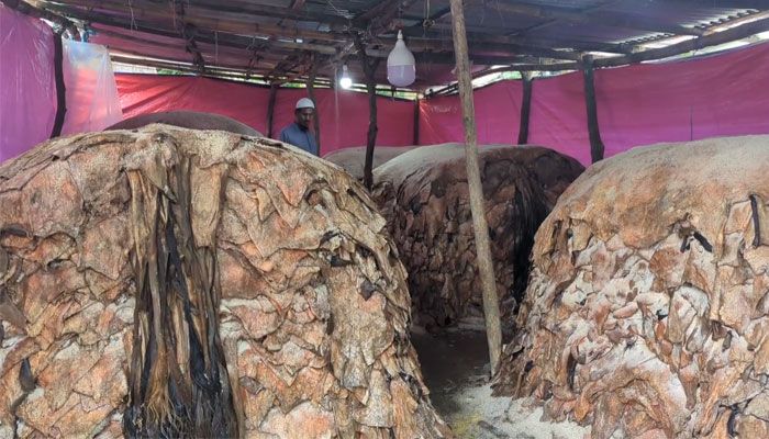 চামড়ার দরপতনে দিশেহারা আমতলীর ক্ষুদ্র ব্যবসায়ীরা