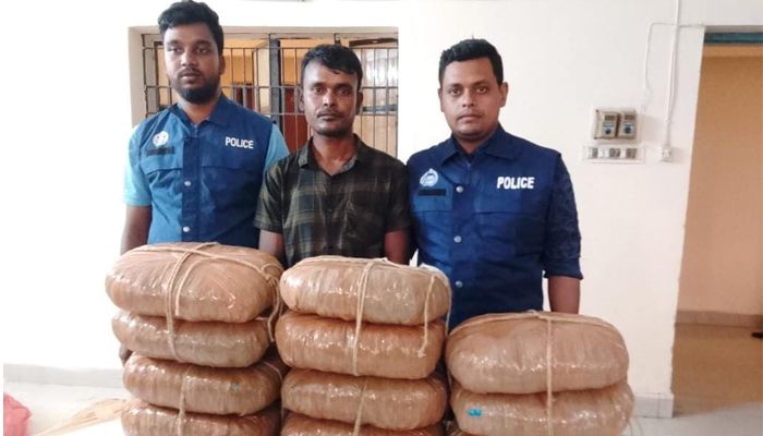 বাঞ্ছারামপুরে ২২ কেজি গাঁজাসহ এক মাদক কারবারি গ্রেপ্তার