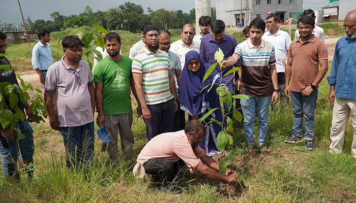বগুড়ায় টিএমএসএসের দখল থেকে উদ্ধারকৃত জমিতে বৃক্ষরোপণ