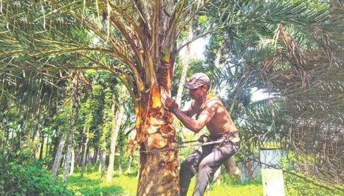 গাছির প্রস্তুতি জানান দিচ্ছে সমাগম শীত