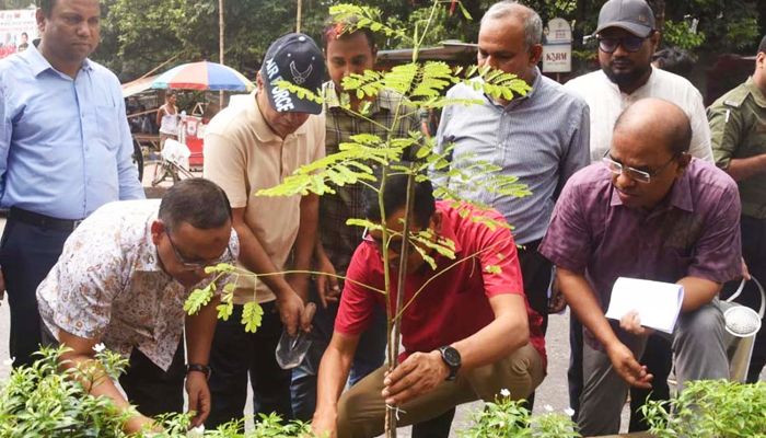 নগরীর দূষণ নিয়ন্ত্রণে সড়কের মিডিয়ান সবুজায়ন করা হচ্ছে: ডিএসসিসি প্রশাসক