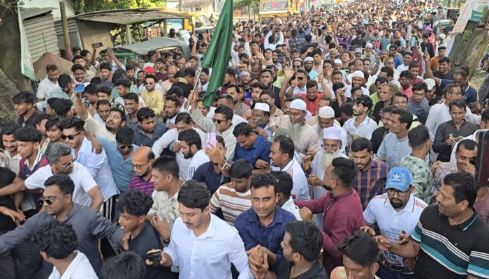নবীনগরে বিএনপির ৪৭তম প্রতিষ্ঠাবার্ষিকী উপলক্ষে আনন্দ র‍্যালী