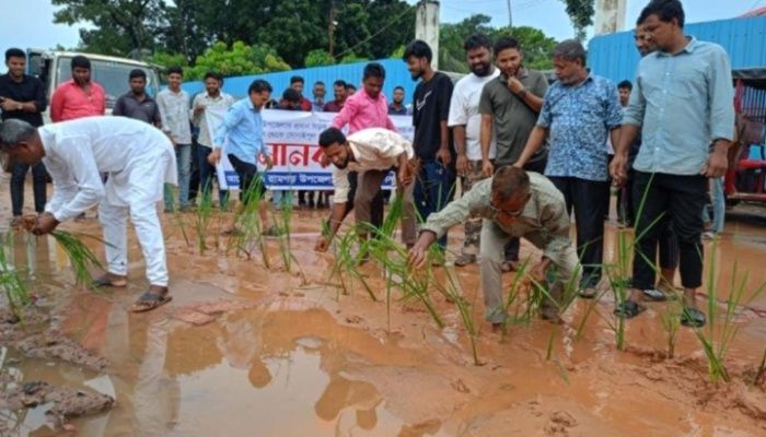 রামগড়ে সংস্কারের দাবিতে মানববন্ধন ও ধানের চারা রোপণ