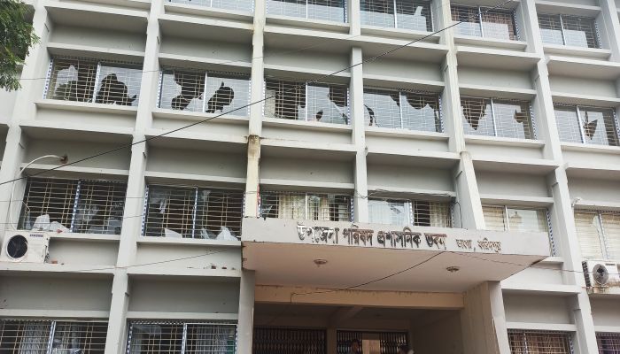 থানা-উপজেলা পরিষদে তাণ্ডব, সাংবাদিককে কুপিয়ে জখম